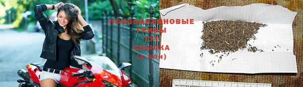 индика Горняк