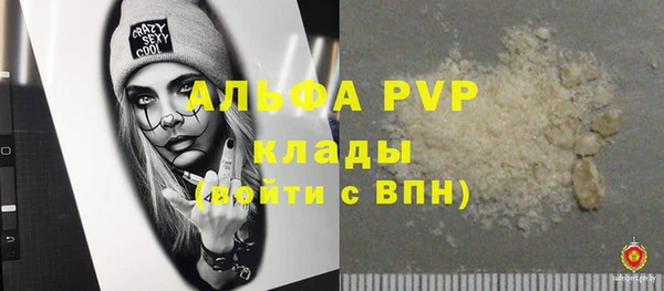 индика Горняк