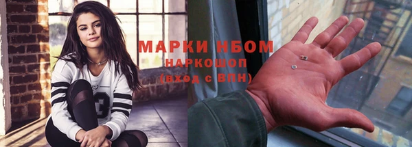 индика Горняк