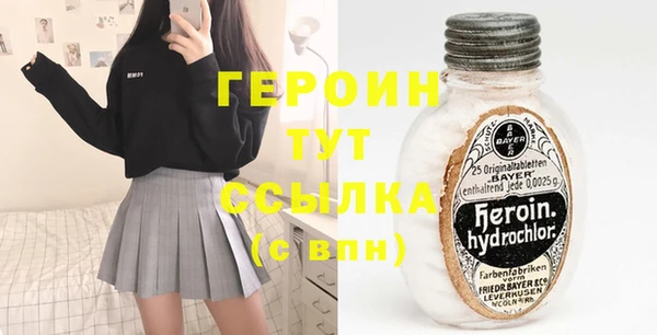 индика Горняк