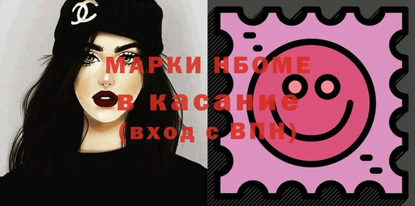 индика Горняк