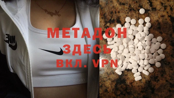 индика Горняк