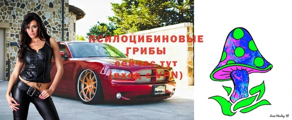 mdpv Дмитриев