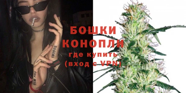 индика Горняк