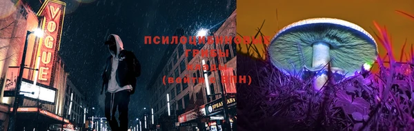 индика Горняк