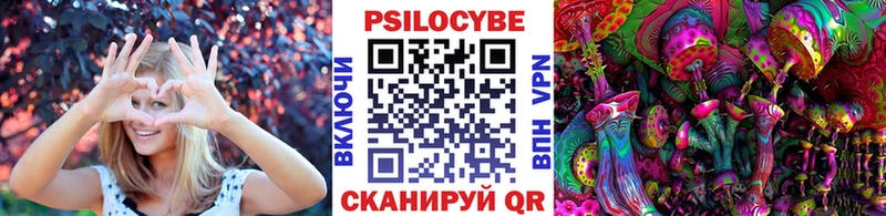 МЕГА онион  Дальнегорск  Галлюциногенные грибы Cubensis 
